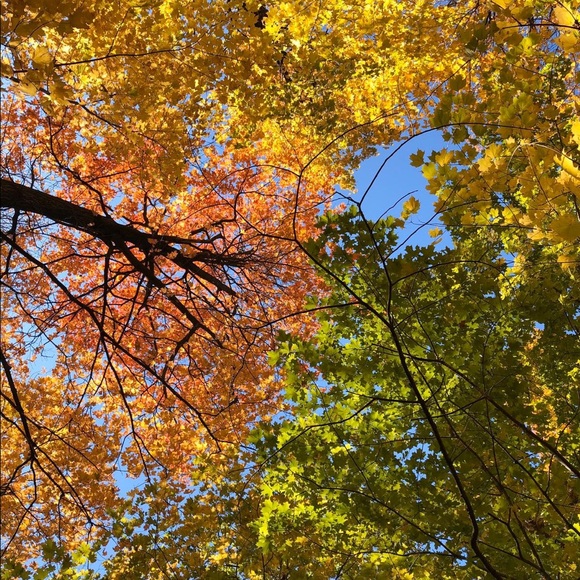 Meet your Posher, Niquesha - Picture 1 of 1